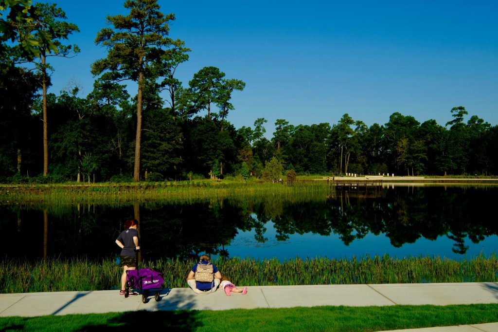 Memorial Park's New Eastern Glades Provides An Urban Wilderness Near  Downtown Houston – Houston Public Media